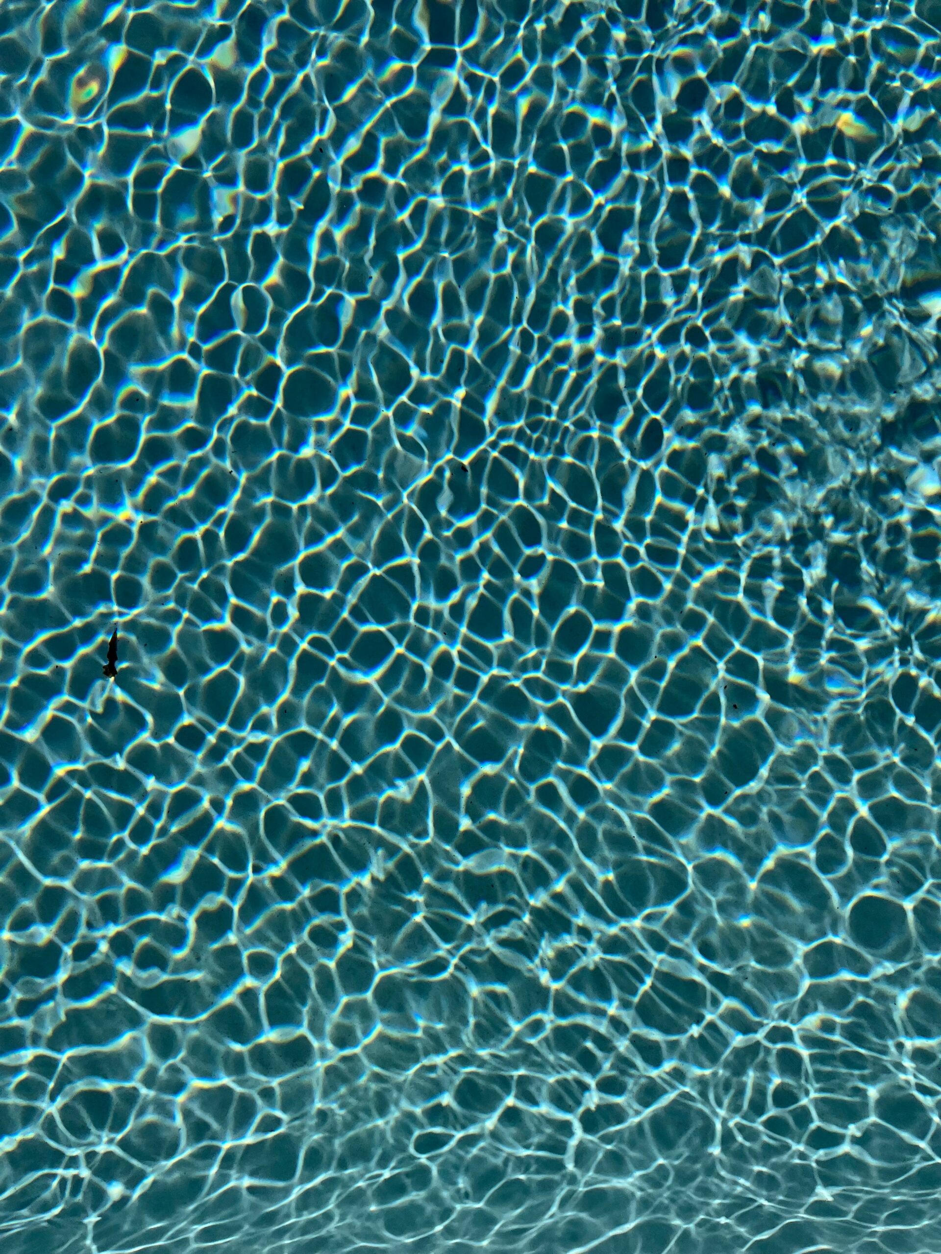 Discover Stunning Modern Pool Design Options in McKinney 6 Discover Stunning Modern Pool Design Options in McKinney 5